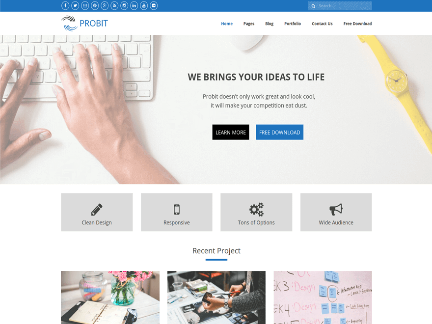 Probit主题汉化包