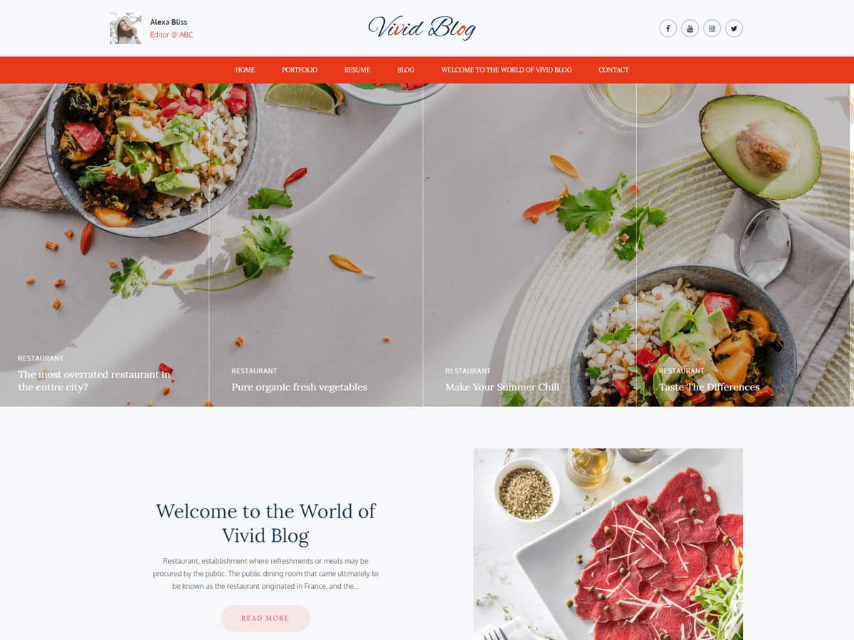 Vivid Blog主题汉化包