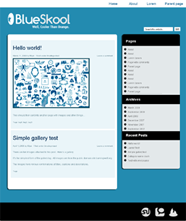 Blueskool主题汉化包