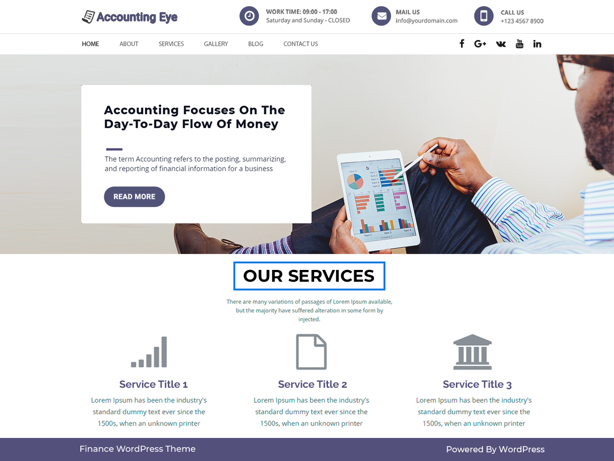 Finance Accounting主题汉化包