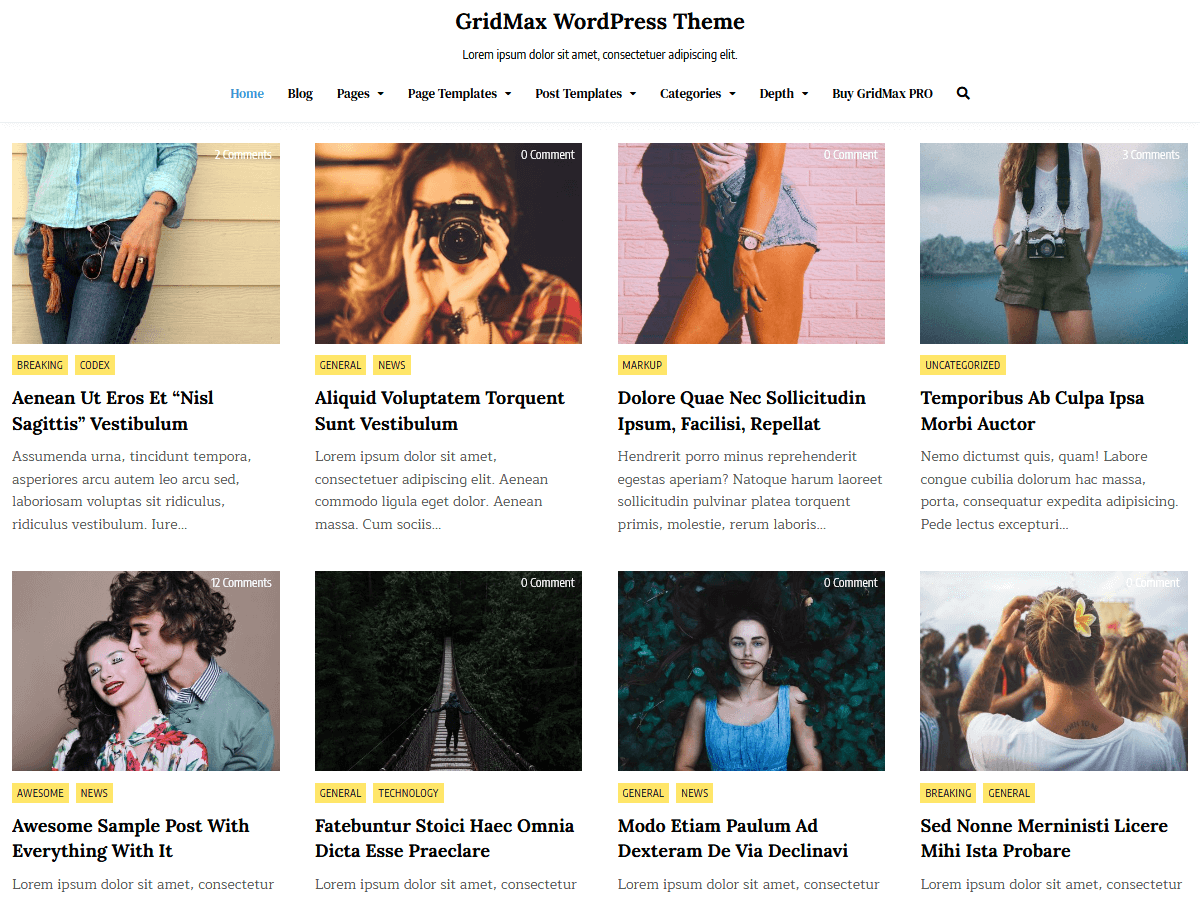 GridMax主题汉化包