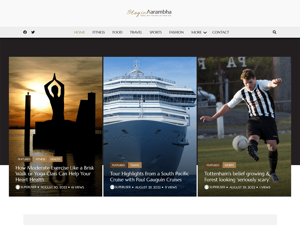 Blogin Aarambha主题汉化包