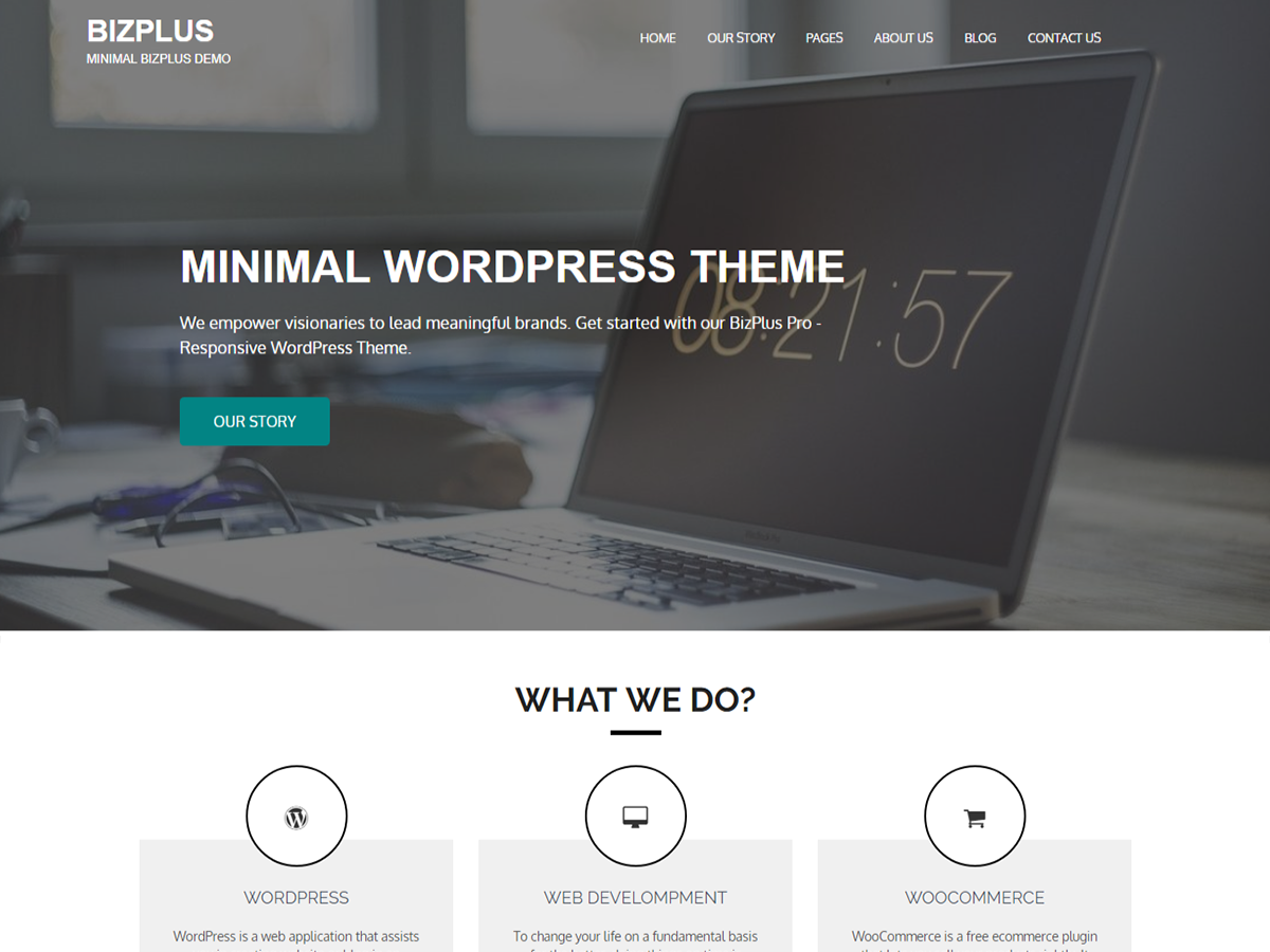 BizPlus主题汉化包