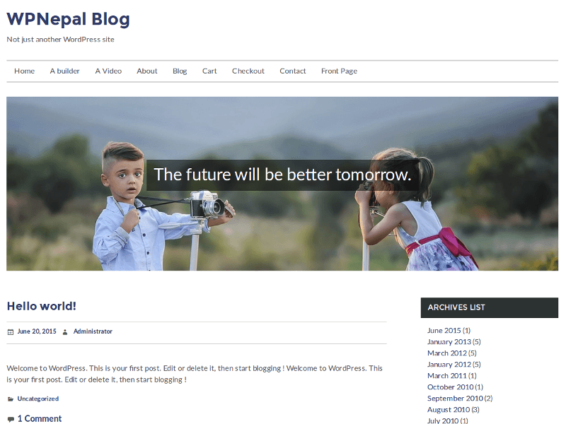 WPNepal Blog主题汉化包