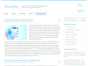 Belle主题汉化包