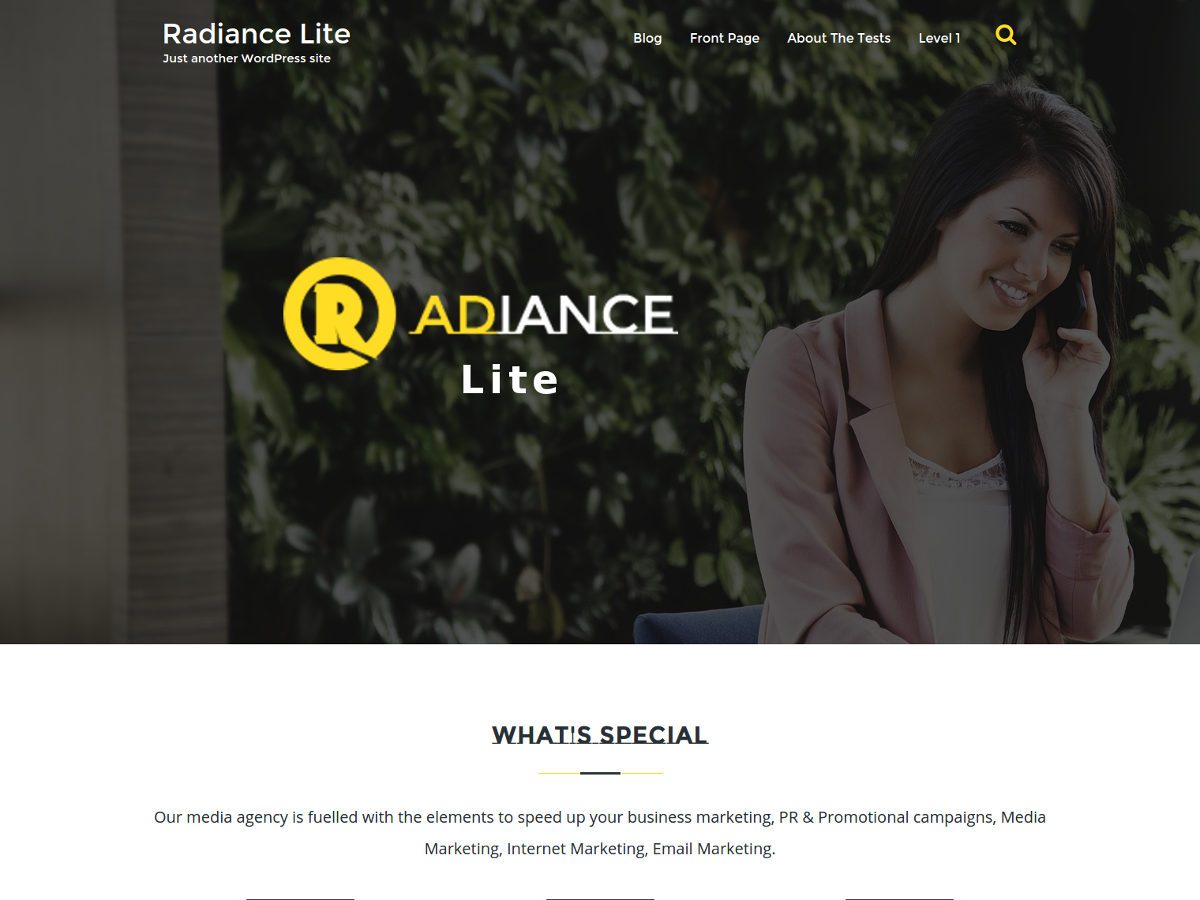 Radiance Lite主题汉化包