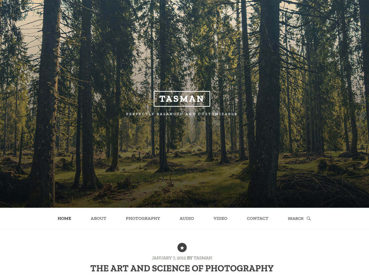 Tasman主题汉化包