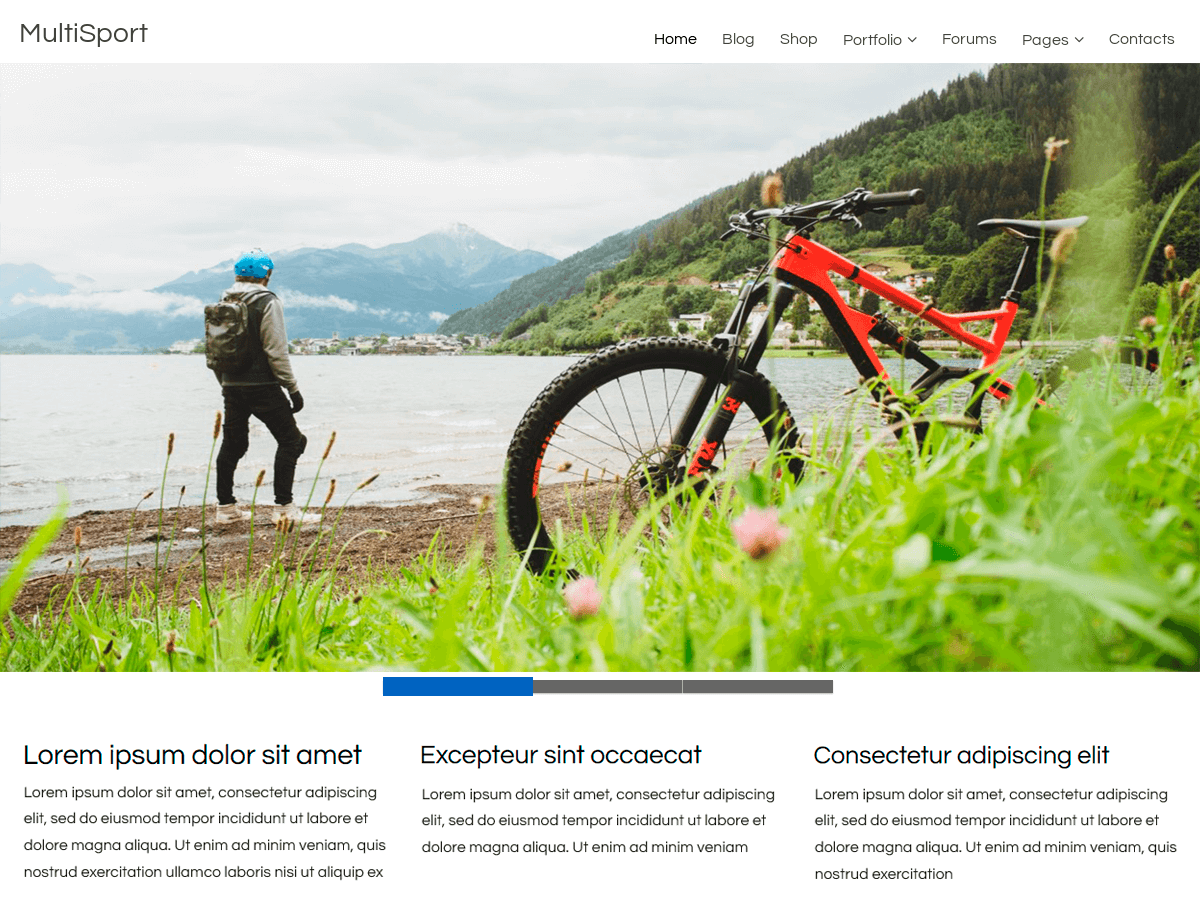 MultiSport主题汉化包