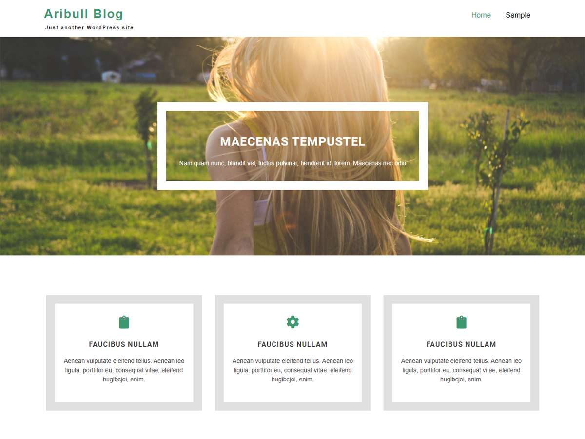 Aribull Blog主题汉化包