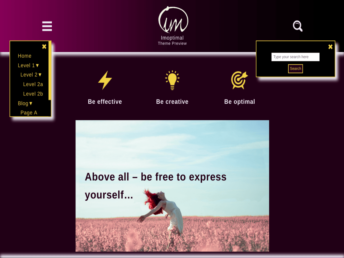 Imoptimal主题汉化包