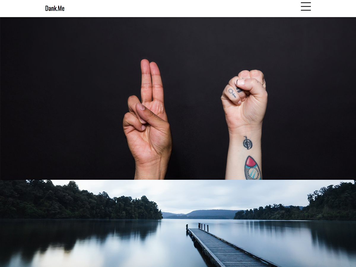 Dank Portfolio主题汉化包