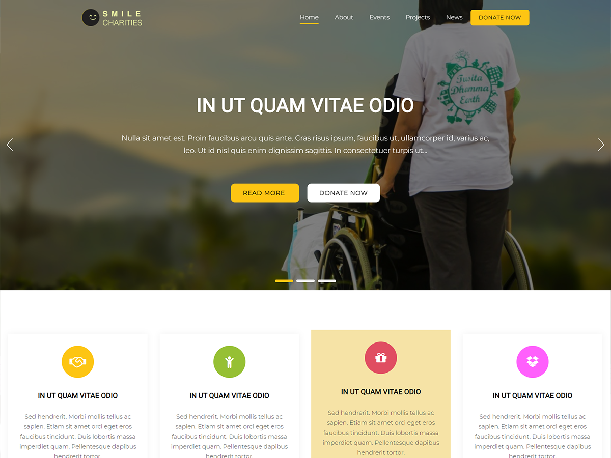 Smile Charities主题汉化包