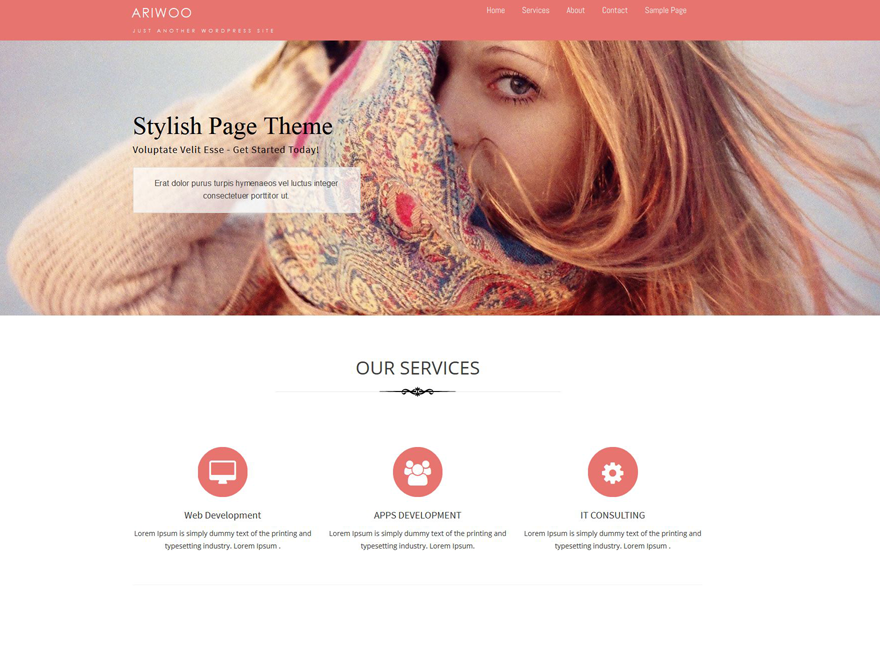 Ariwoo主题汉化包