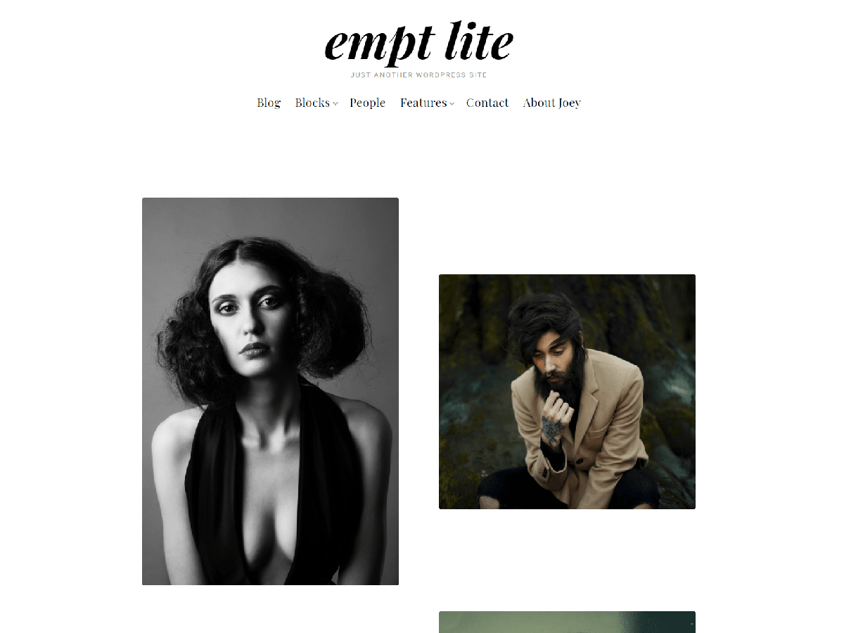 Empt Lite主题汉化包