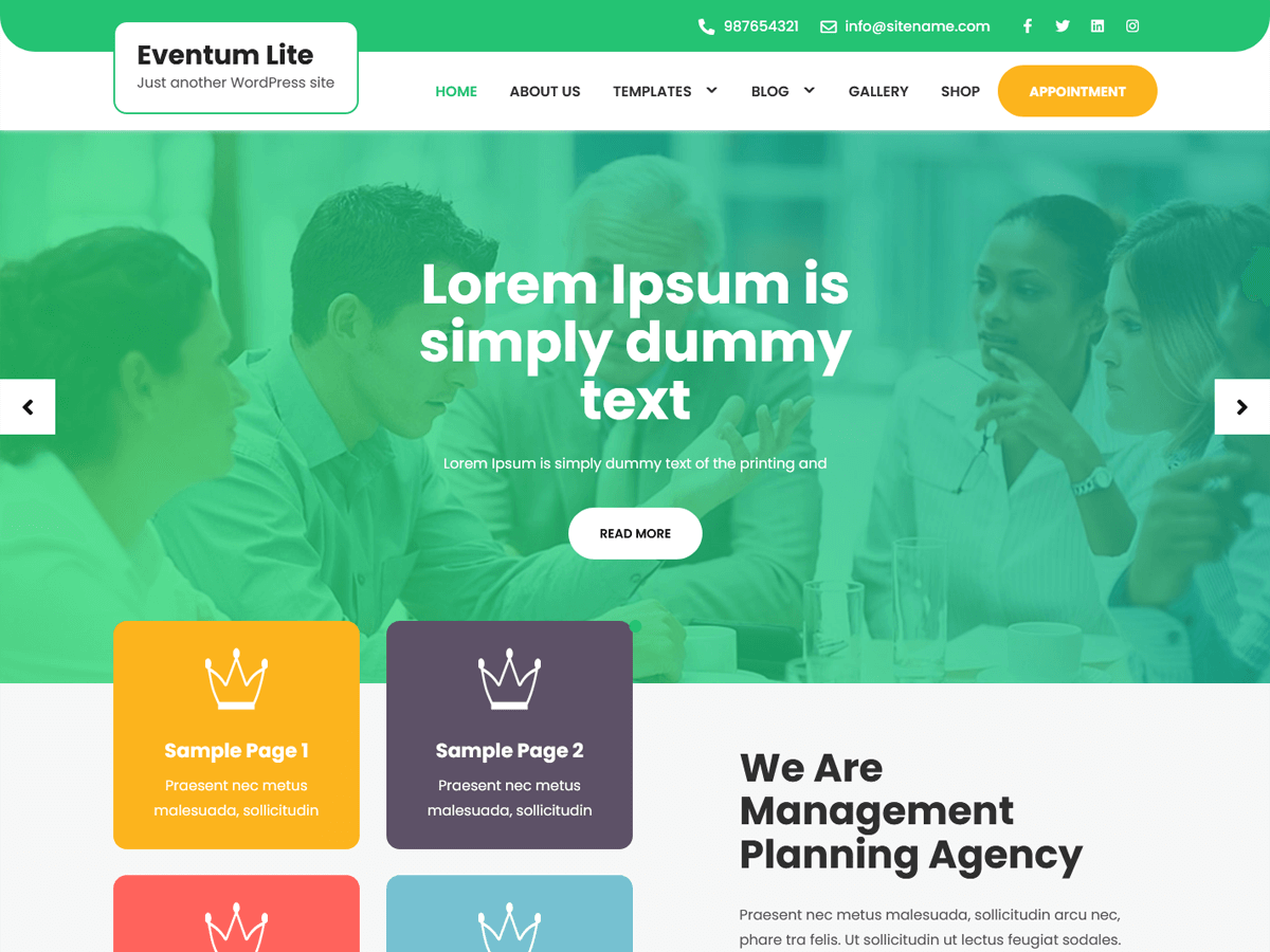 Eventum Lite主题汉化包