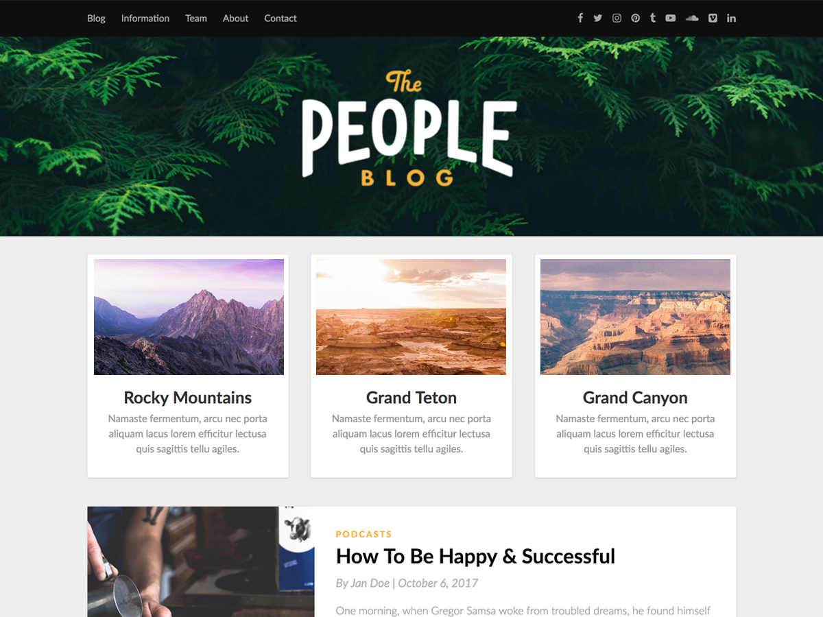 Responsiveblogic主题汉化包