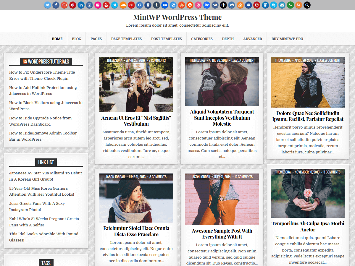 MintWP主题汉化包