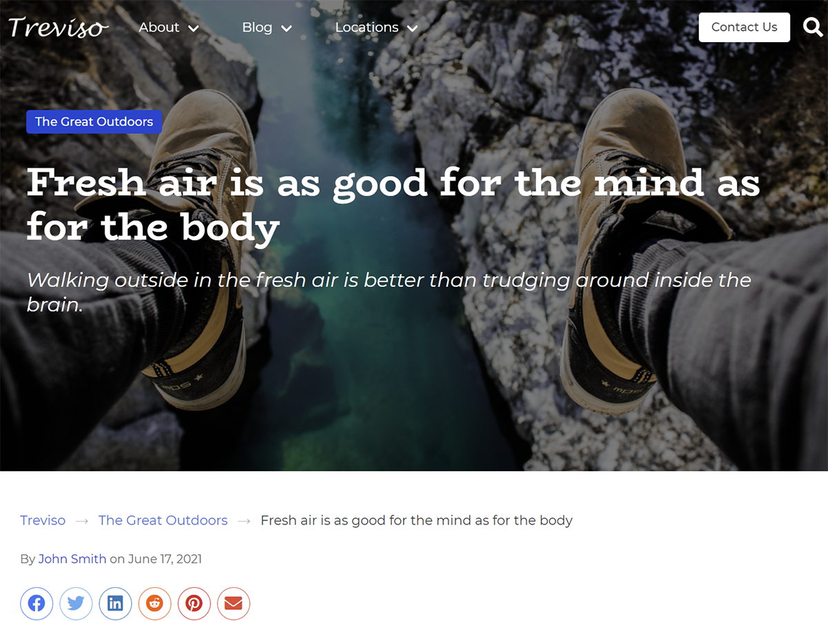 Treviso主题汉化包