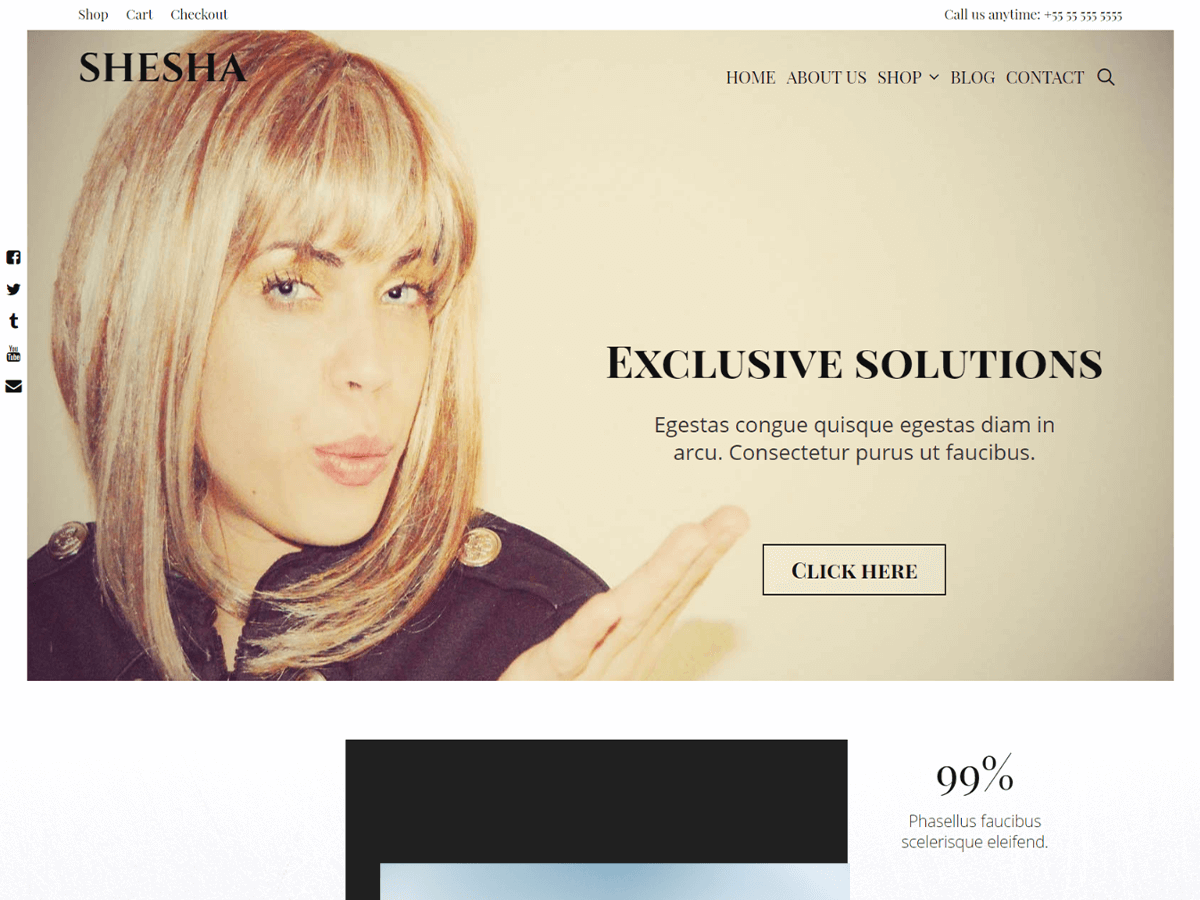 Shesha主题汉化包