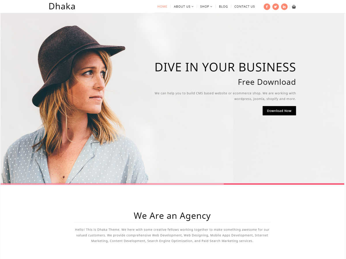 Dhaka主题汉化包