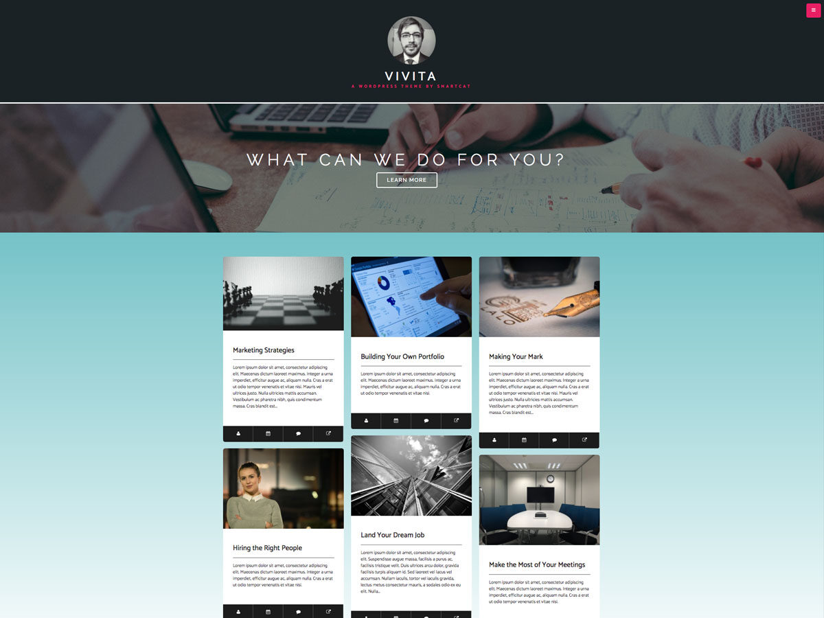 Vivita主题汉化包