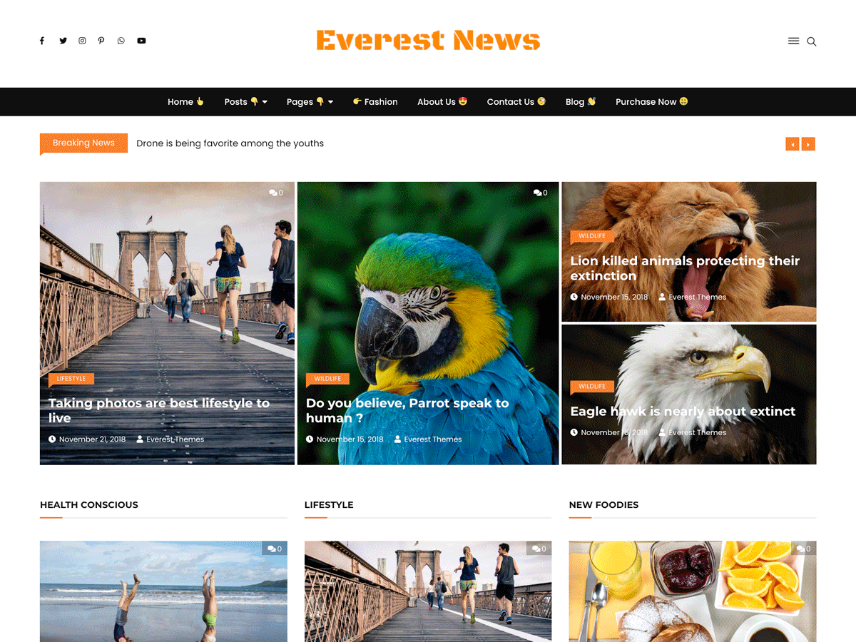 Everest News Lite主题汉化包