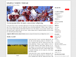 GGSimpleWhite主题汉化包