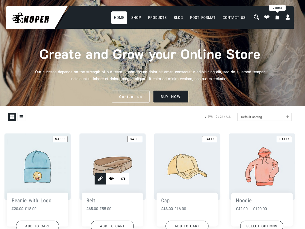 Shopper Shop主题汉化包