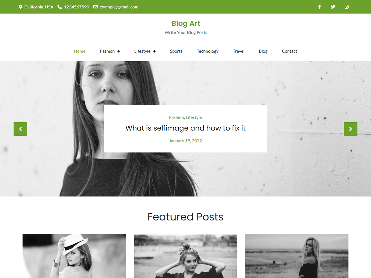 Blog Art主题汉化包