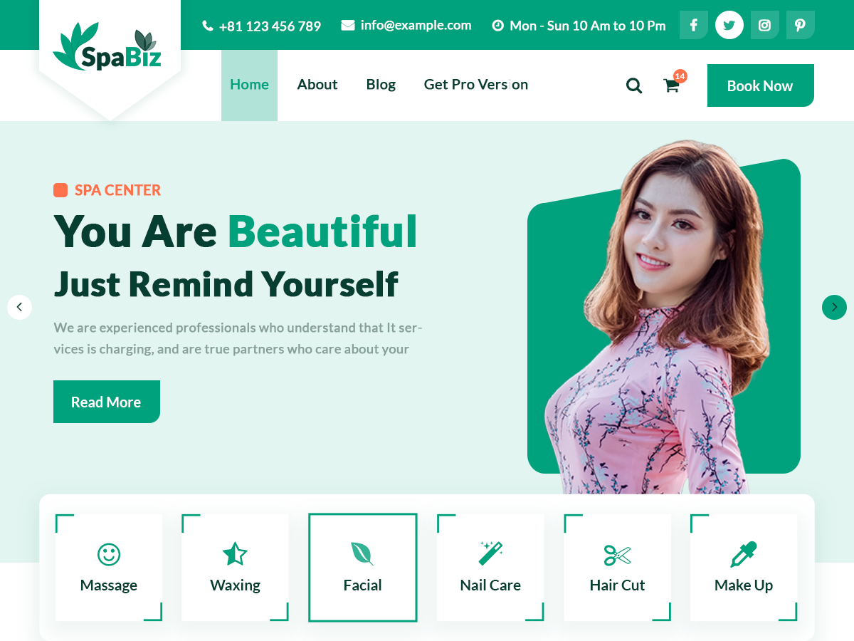 SpaBiz主题汉化包