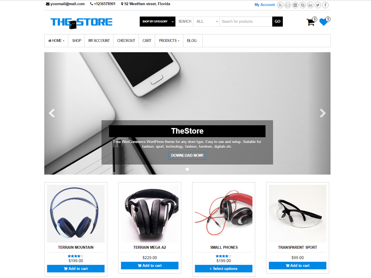 TheStore主题汉化包