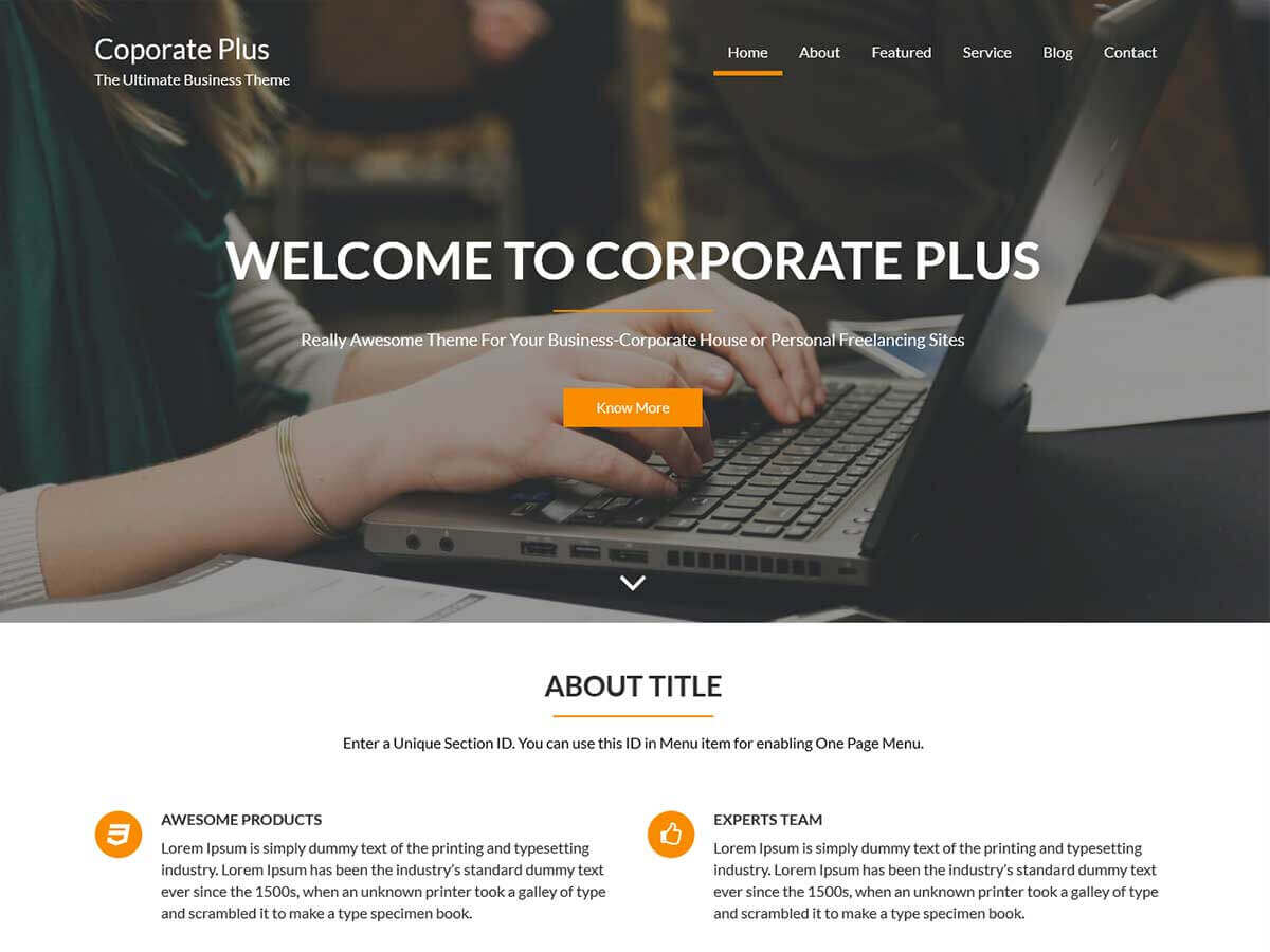 Corporate Plus主题汉化包