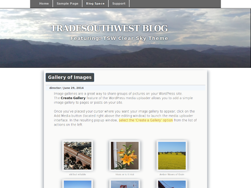 TSW Clear Sky主题汉化包