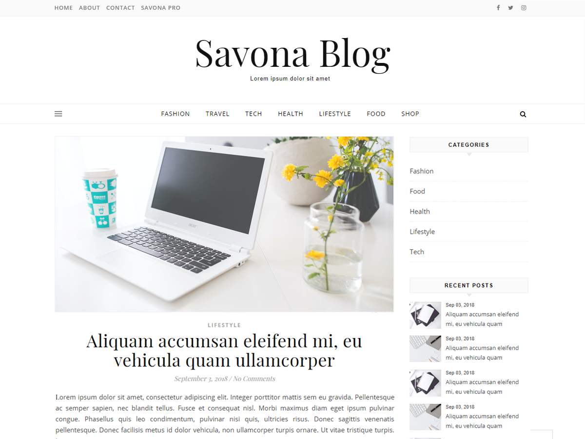Savona Blog主题汉化包