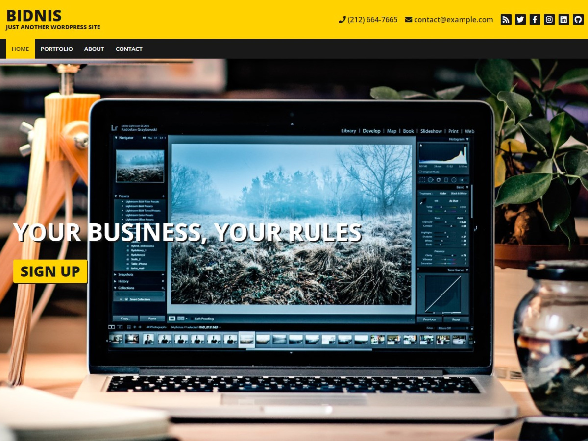 Bidnis主题汉化包