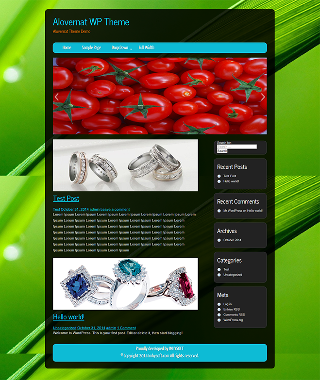 StupidGenius主题汉化包