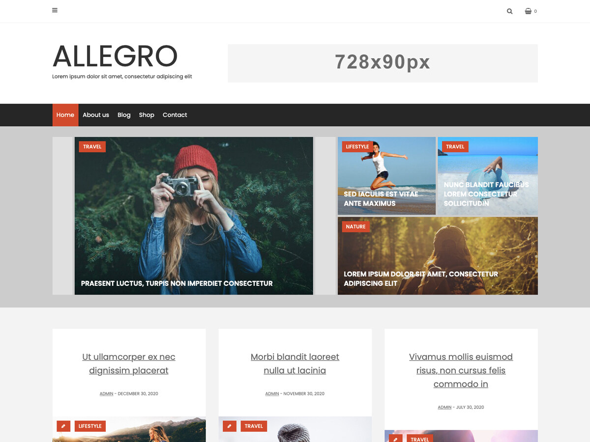 Allegro主题汉化包