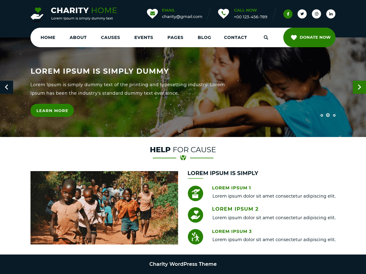 Charity Fundraiser主题汉化包