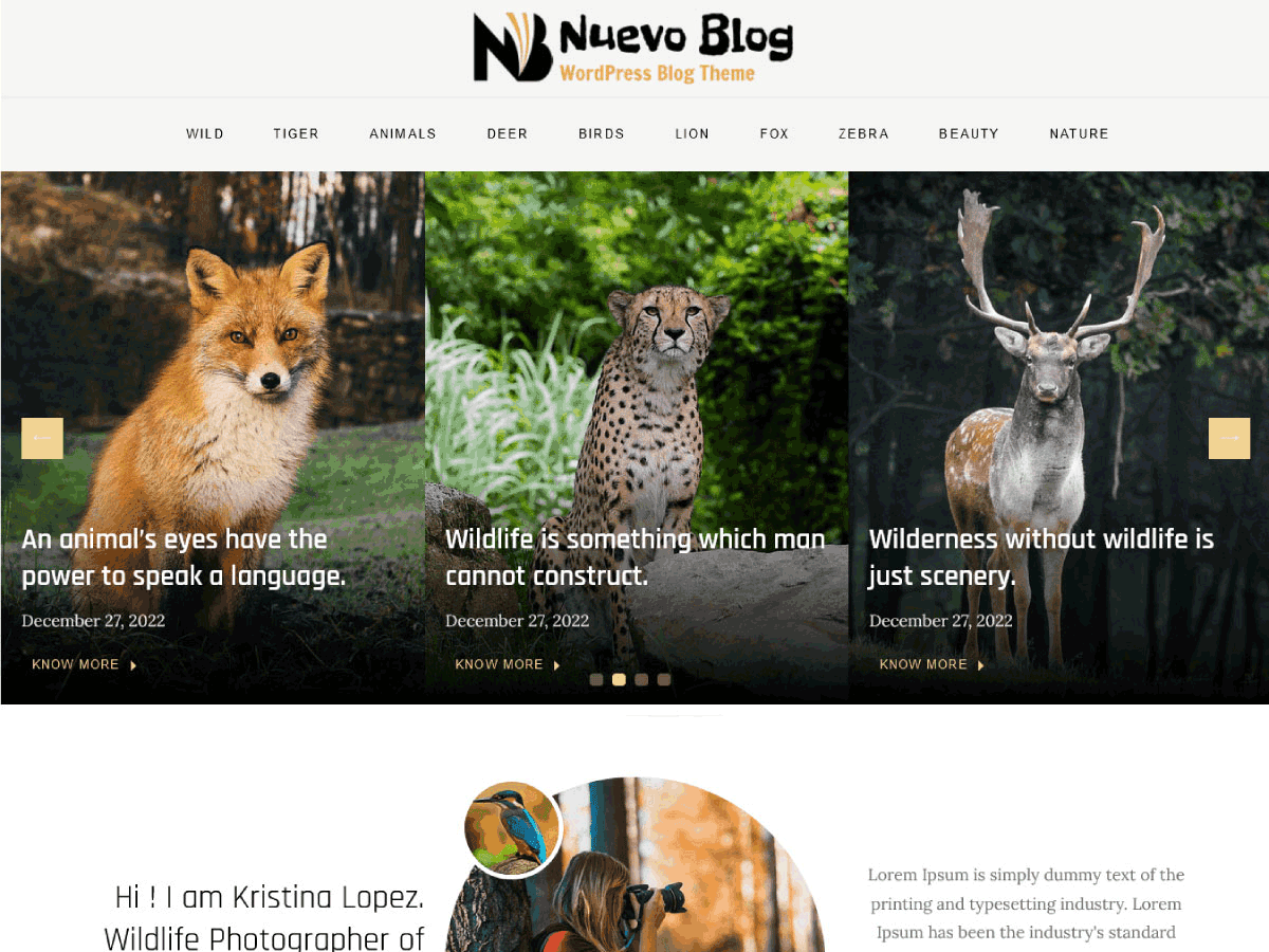 Nuevo Blog主题汉化包