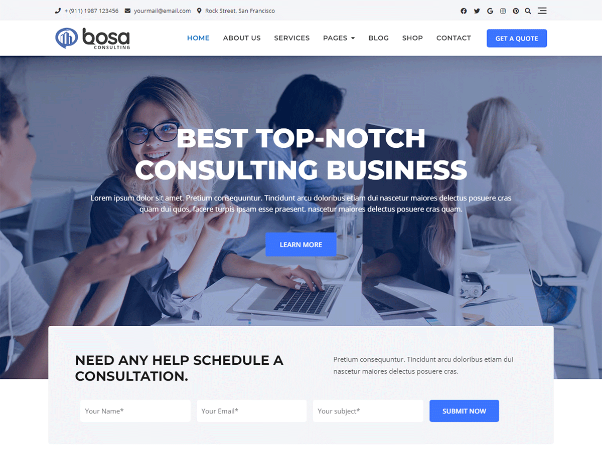 Bosa Consulting主题汉化包