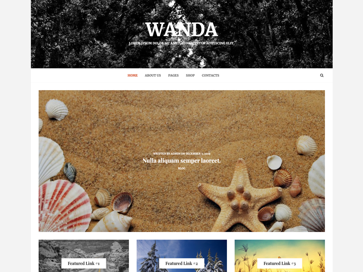 Wanda Lite主题汉化包