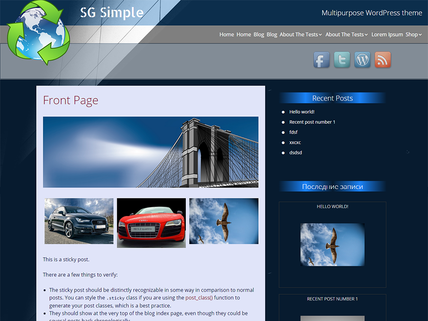 SG Simple主题汉化包