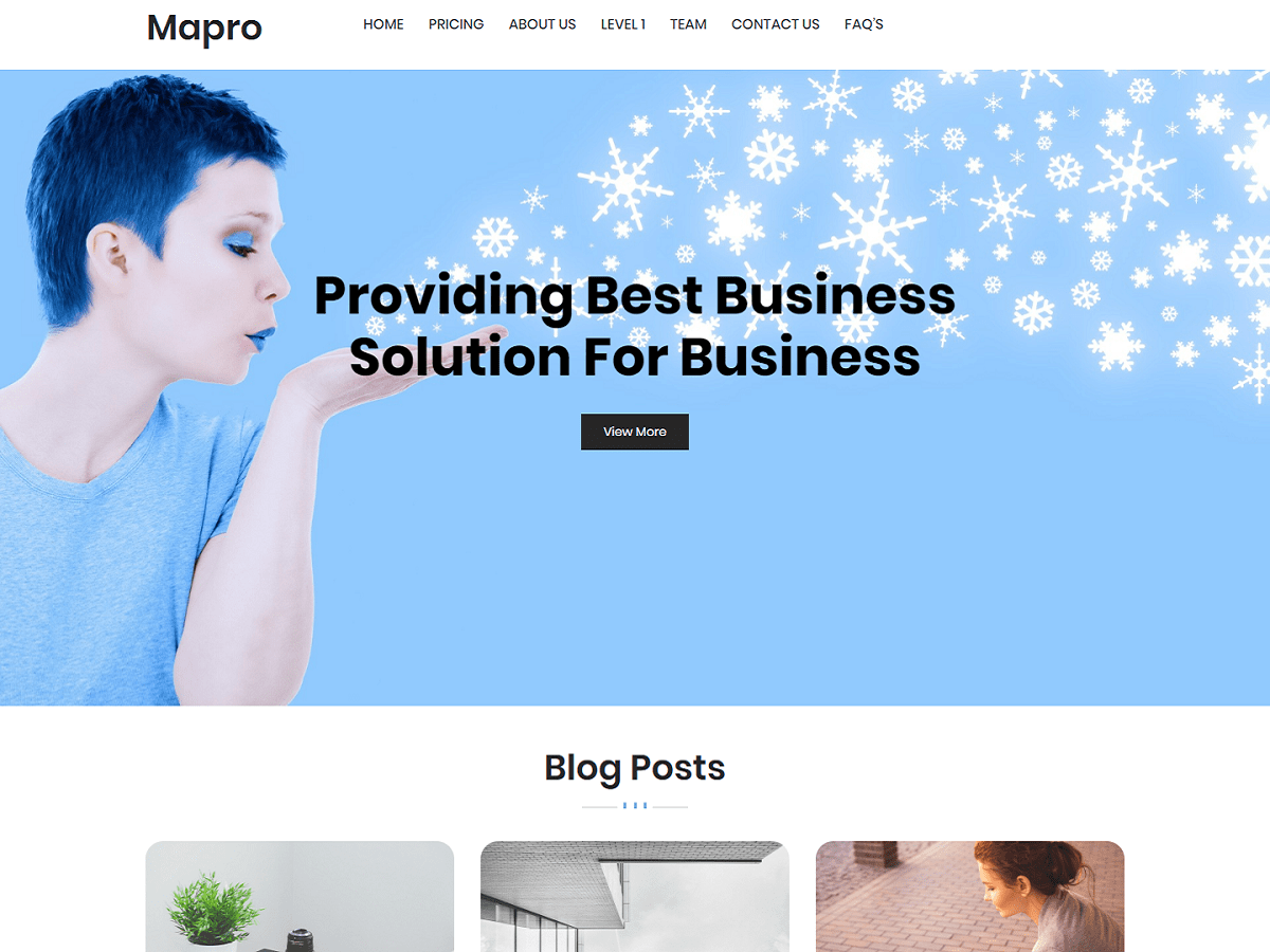 Mapro主题汉化包