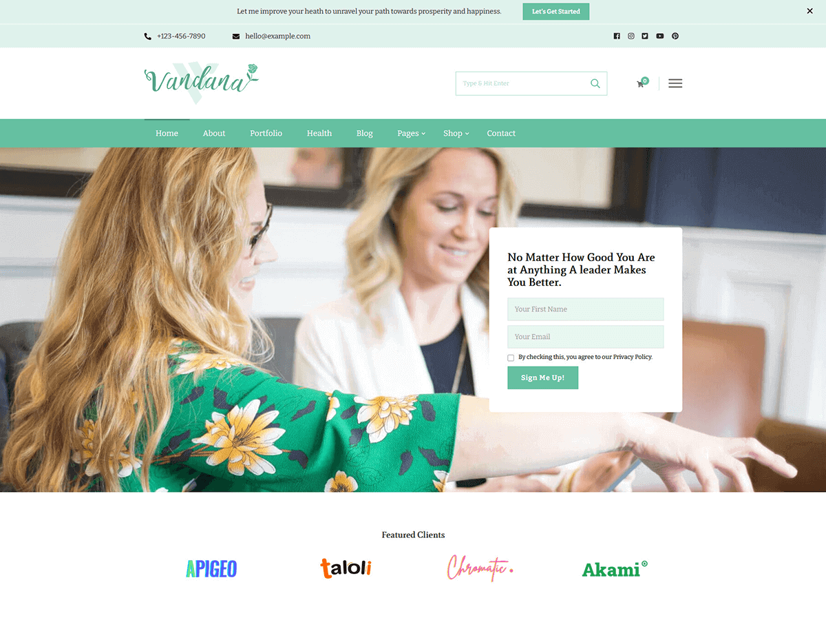 Vandana Health Coach主题汉化包