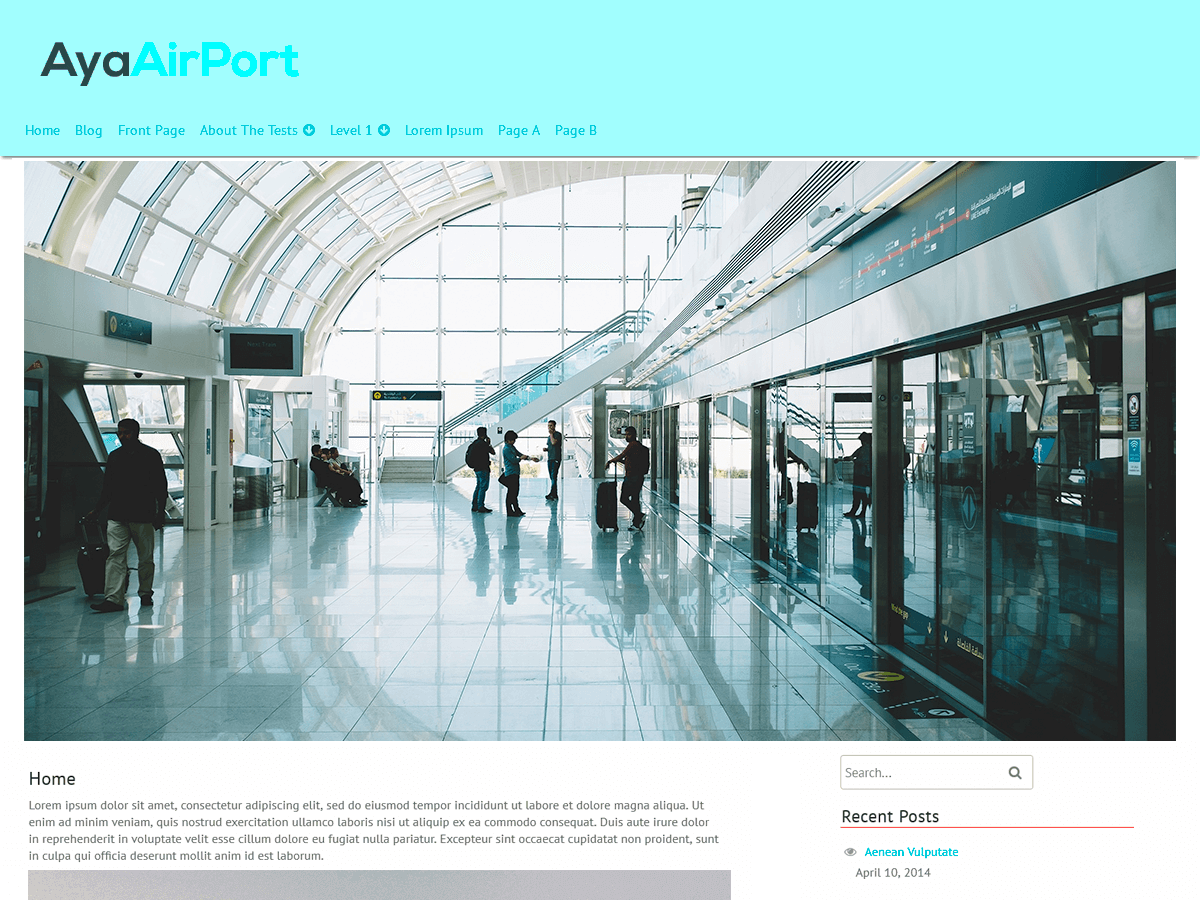 AyaAirPort主题汉化包