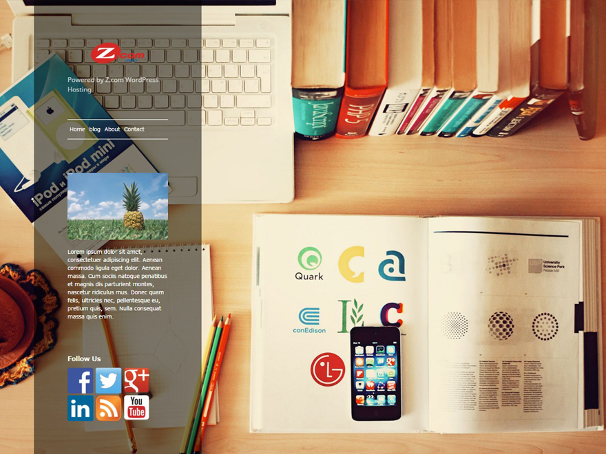 waffle主题汉化包