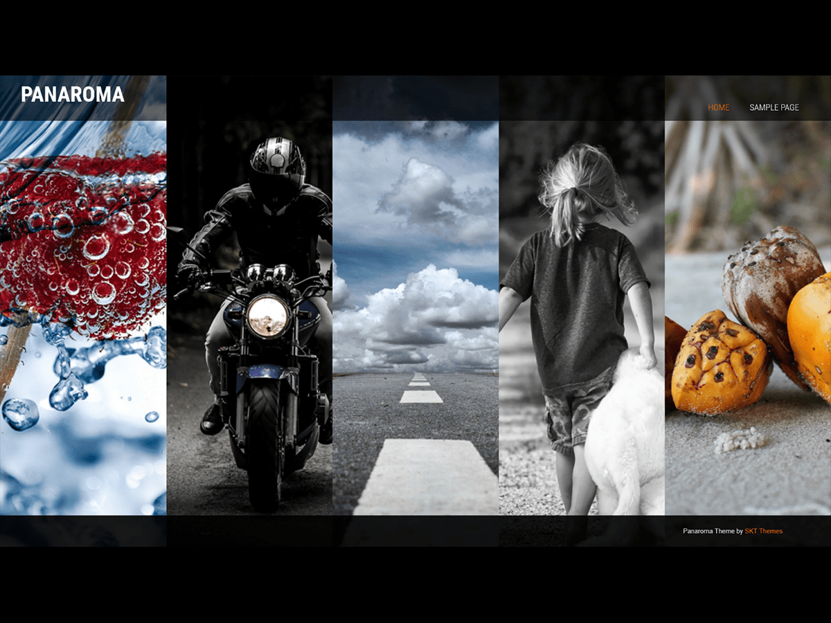 Panaroma主题汉化包