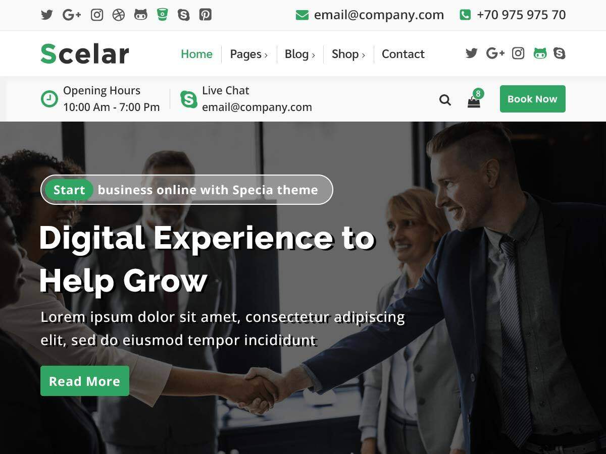 Scelar主题汉化包