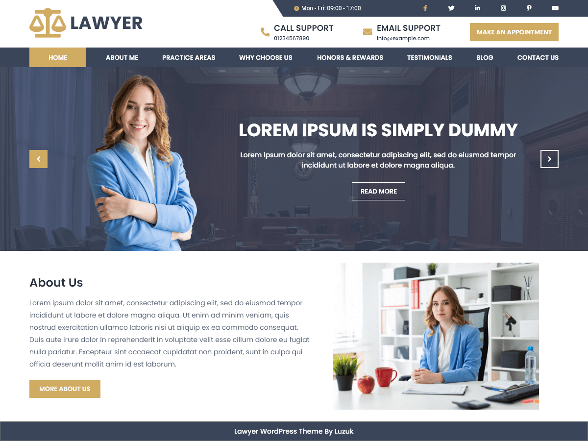 Expert Lawyer主题汉化包