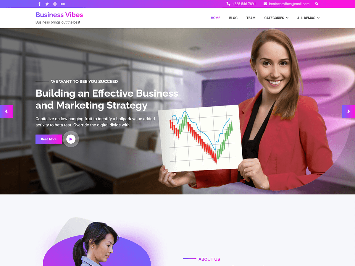 Business Vibes主题汉化包